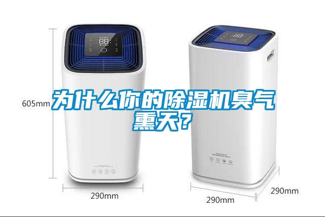 為什么你的除濕機(jī)臭氣熏天？