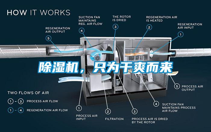 除濕機，只為干爽而來