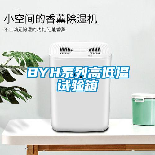 BYH系列高低溫試驗(yàn)箱