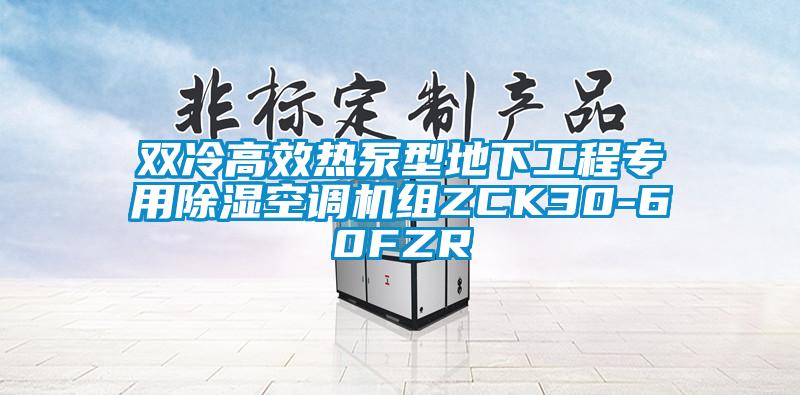 雙冷高效熱泵型地下工程專用除濕空調(diào)機組ZCK30-60FZR