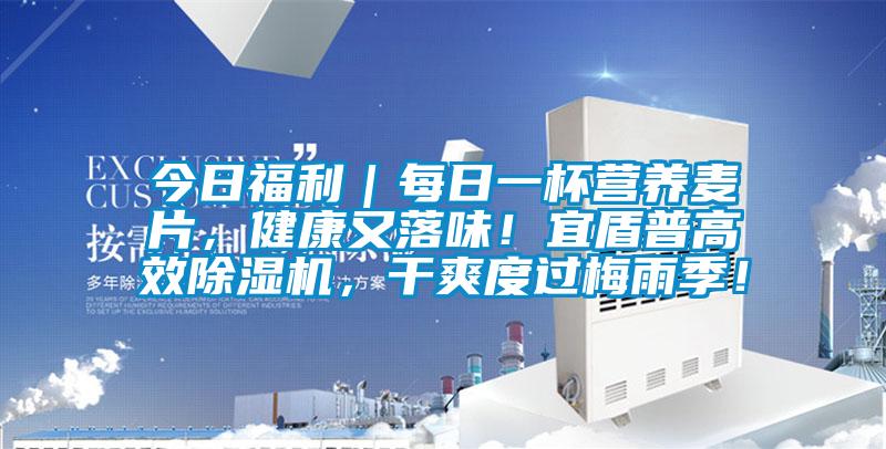 今日福利｜每日一杯營養(yǎng)麥片，健康又落味！宜盾普高效除濕機(jī)，干爽度過梅雨季！