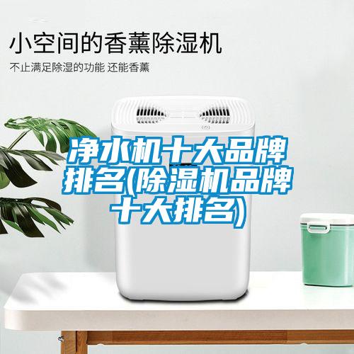 凈水機十大品牌排名(除濕機品牌十大排名)