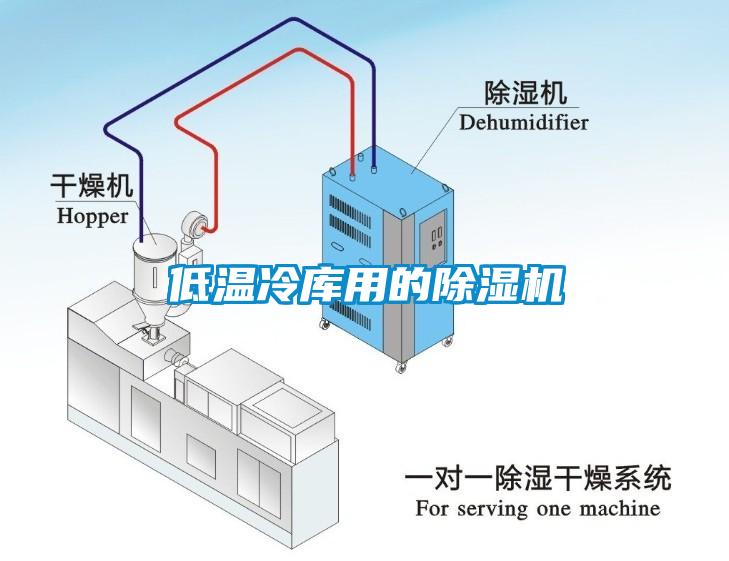 低溫冷庫(kù)用的除濕機(jī)