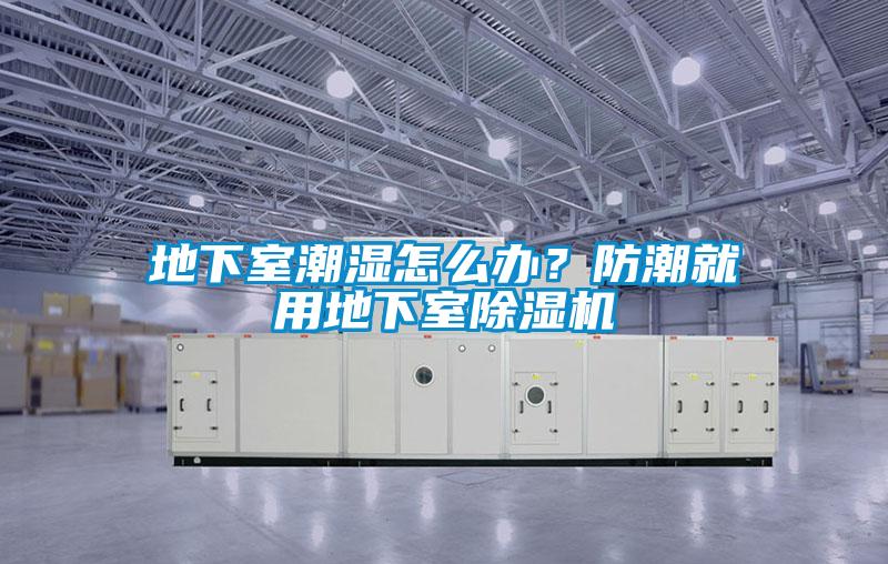 地下室潮濕怎么辦？防潮就用地下室除濕機(jī)