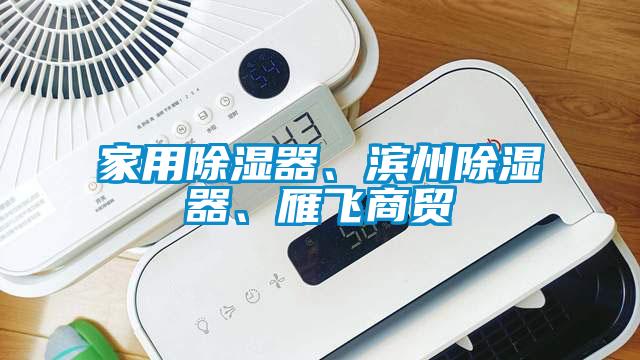 家用除濕器、濱州除濕器、雁飛商貿(mào)