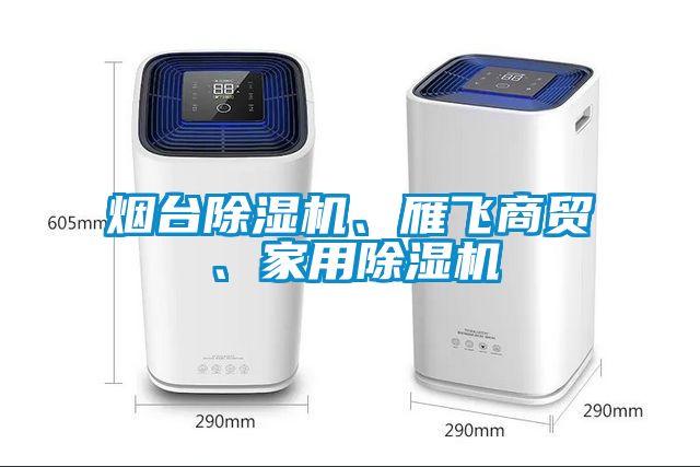 煙臺除濕機、雁飛商貿(mào)、家用除濕機