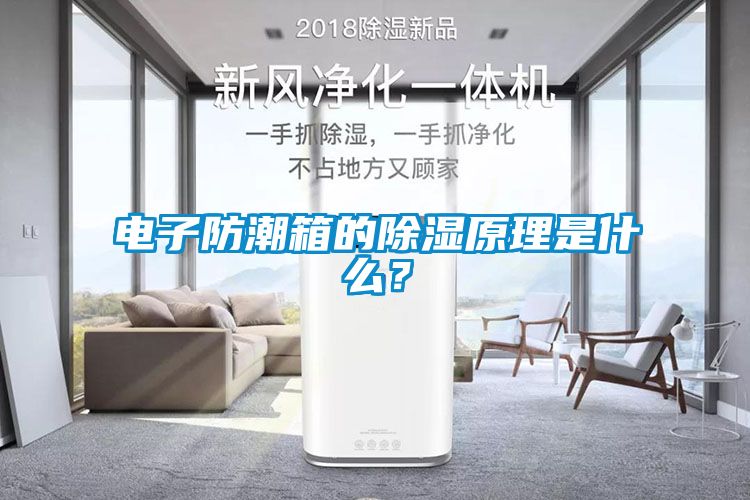 電子防潮箱的除濕原理是什么？