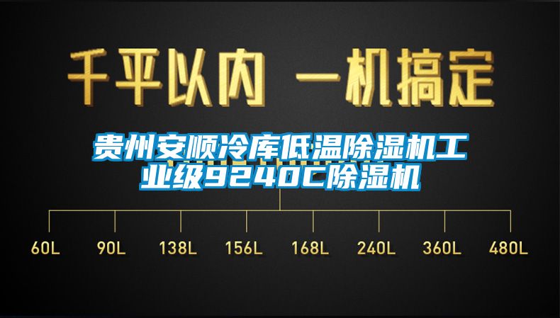 貴州安順冷庫低溫除濕機(jī)工業(yè)級9240C除濕機(jī)