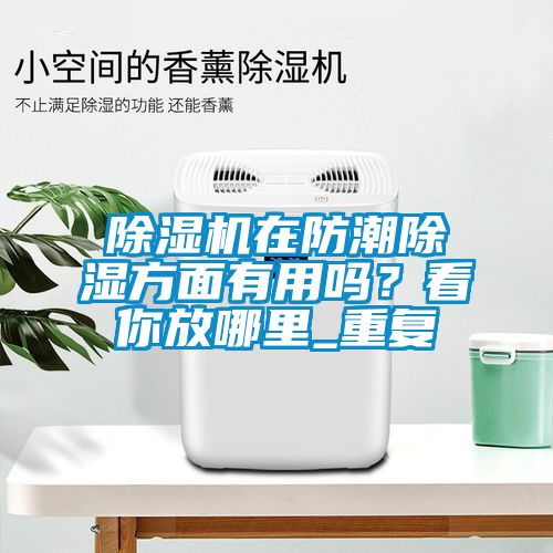 除濕機在防潮除濕方面有用嗎？看你放哪里_重復