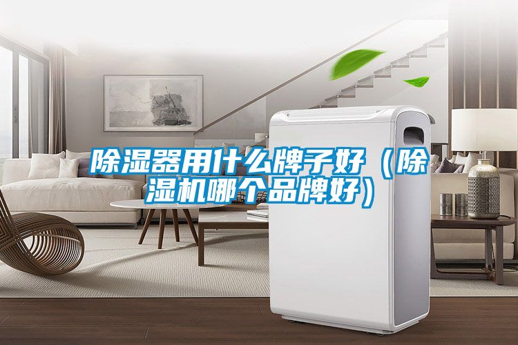 除濕器用什么牌子好（除濕機(jī)哪個品牌好）