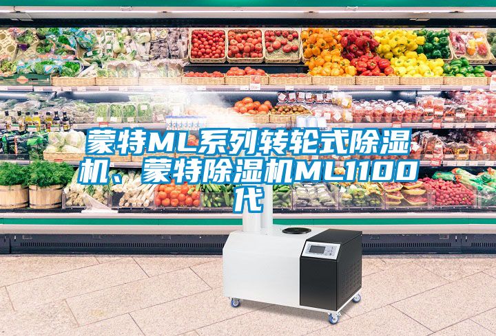 蒙特ML系列轉(zhuǎn)輪式除濕機、蒙特除濕機ML1100代