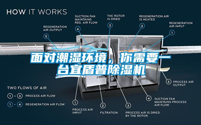 面對潮濕環(huán)境，你需要一臺宜盾普除濕機