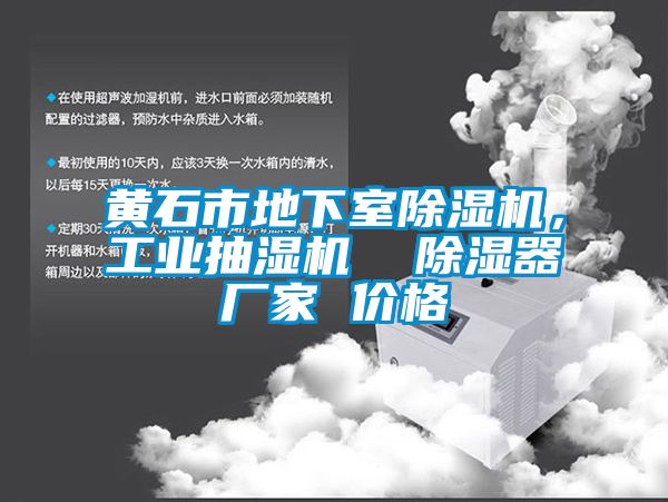 黃石市地下室除濕機，工業(yè)抽濕機  除濕器廠家 價格