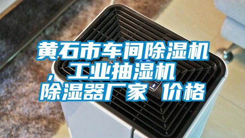 黃石市車間除濕機，工業(yè)抽濕機  除濕器廠家 價格