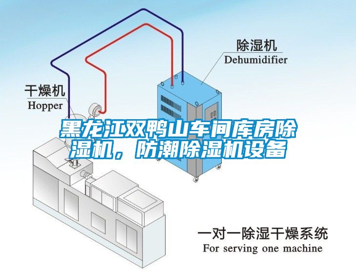 黑龍江雙鴨山車間庫房除濕機，防潮除濕機設備